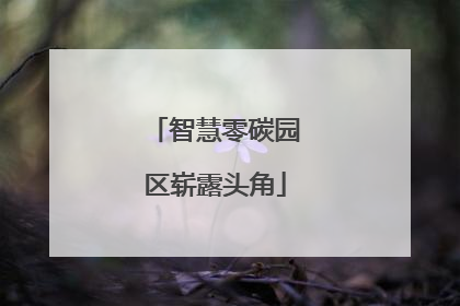 智慧零碳园区崭露头角